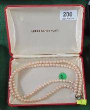 Lot 200