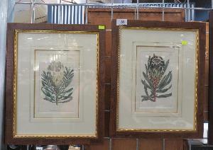 Lot 180