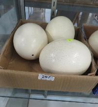 Lot 297