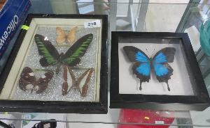 Lot 299