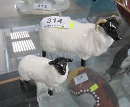 Lot 314