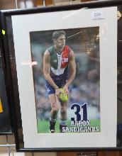 Lot 224