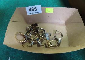 Lot 466